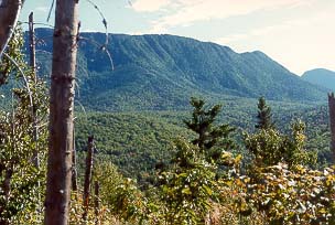 La réserve écologique Fernald