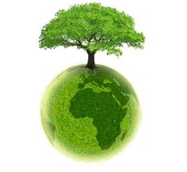 Planter un arbre, cest contribuer  rendre la plante plus verte.
