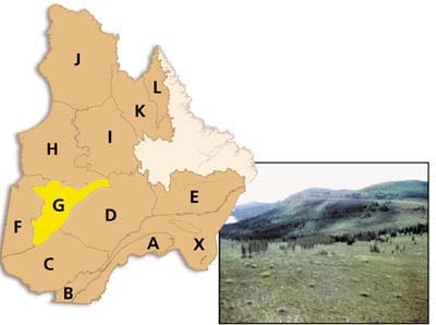 Province G : Hautes-terres de Mistassini