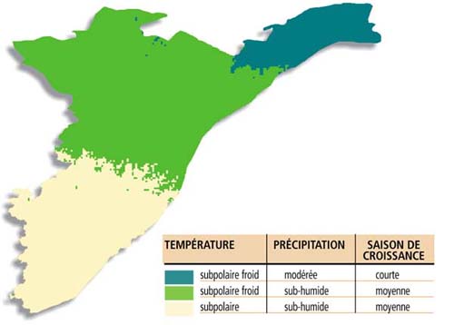 Climat