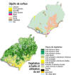 Cliquez pour agrandir - Dpts de surface - Vgtation actuelle et utilisation du sol