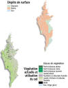 Cliquez pour agrandir - Dpts de surface / Vgtation actuelle et utilisation du sol