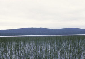 Montagne