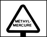 Illustration mthyl-mercure