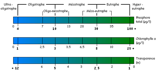 Diagramme de classement du niveau tropĥique des lacs