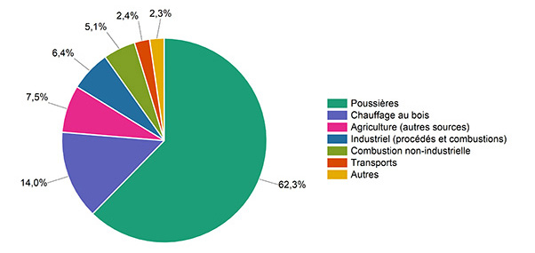 Les émissions de particules fines mesurées au Québec en 2020 sont réparties comme ceci : 48,4 % sont engendrées par la poussière, 19,9 % par le chauffage au bois, 10,3 % par l’agriculture, 7,5 % par le secteur industriel, 5,4 % par la combustion non industrielle, 4,9 % par les moyens de transport, 3 % par d’autres sources et, enfin, 0,7 % par l’incinération et le traitement des matières résiduelles.