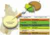 Cliquez pour agrandir - Figure 1: Les aires protges au Qubec, selon les catgories de l'UICN