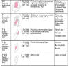 Cliquez pour agrandir - Figure 4 : Écosystèmes terrestres: les niveaux de perception Cat. IV - VIII