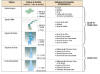 Cliquez pour agrandir - Figure 5 : Hydrosystèmes d'eau courante : les niveaux de perception.