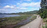 Marais-de-la-Pointe--Bourdeau Photo : Line Couillard