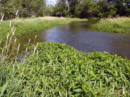 Chenal-Proulx Photo : Vincent Pich