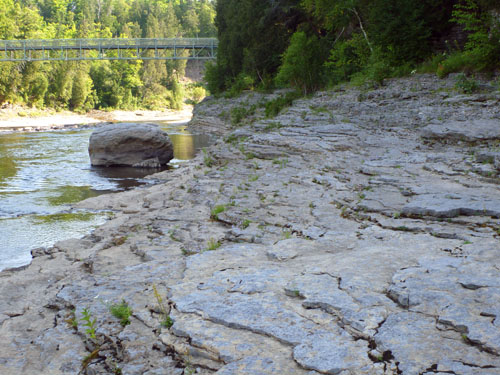 Marches-Naturelles Photo : velyne Barrette