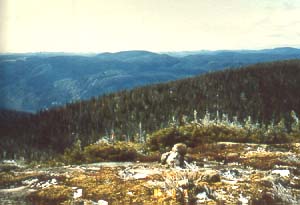 La rserve cologique des Grands-Ormes.