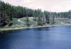 Réserve écologique des Kettles-de-Berry (Photo : Léopold Gaudreau - MDDEP)