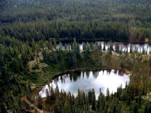 Réserve écologique des Kettles-de-Berry (Photo : Jean Gagnon - MDDEP)