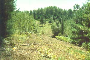 La réserve écologique du Père-Louis-Marie