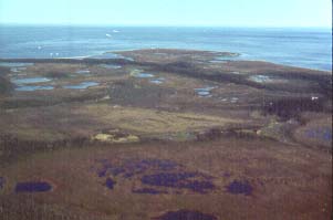 La réserve écologique de la Pointe-Heath