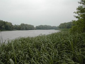 Réserve écologique de la Rivière-aux-Brochets (Photo : Rodolph Balej - MDDEP)