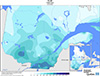 Pluie totale (mm)