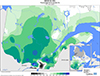 Neige au sol (%) Pourcentage de la normale