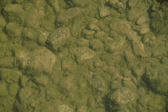 Algues (Source: MENV)