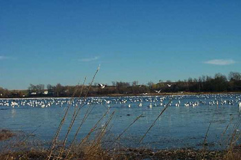 Estuaire de la rivire Boyer