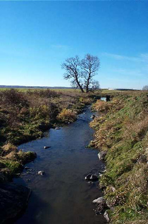 Ruisseau Vallières