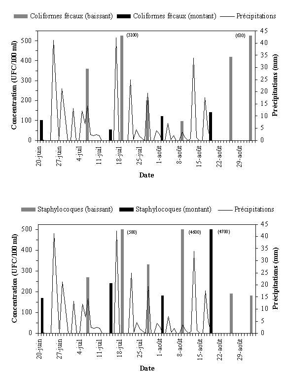 Annexe 3.18  	Qualit bactriologique du site de l'anse au Foulon Est, t 1999