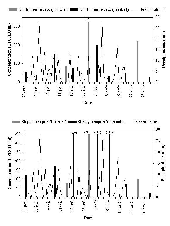 Annexe 3.20 : Qualit bactriologique du site du quai Paquet, t 1999