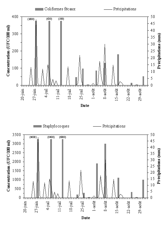 Annexe 3.5 : Qualit bactriologique du site du parc Maisouna  Tracy, t 1999