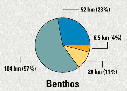 Graphique - Benthos