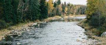 Bandes riveraines de la rivire Chaudire