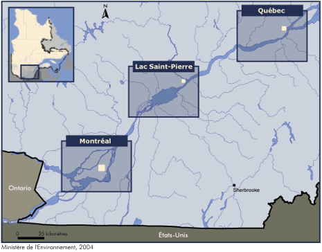 La qualité de l'eau dans le secteur de Montréal, du lac Saint-Pierre et de Québec au cours des étés 2000 et 2001