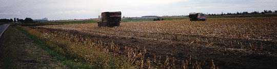 Photo agriculture : Ministre de l'Environnement et de la Faune