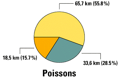 Graphique Poissons