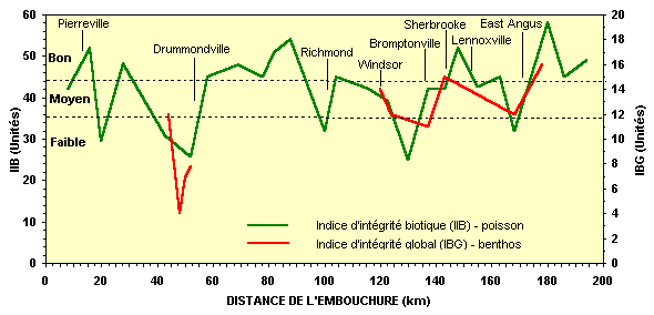 Valeurs de l'IIB et de l'IBG - secteur East Angus