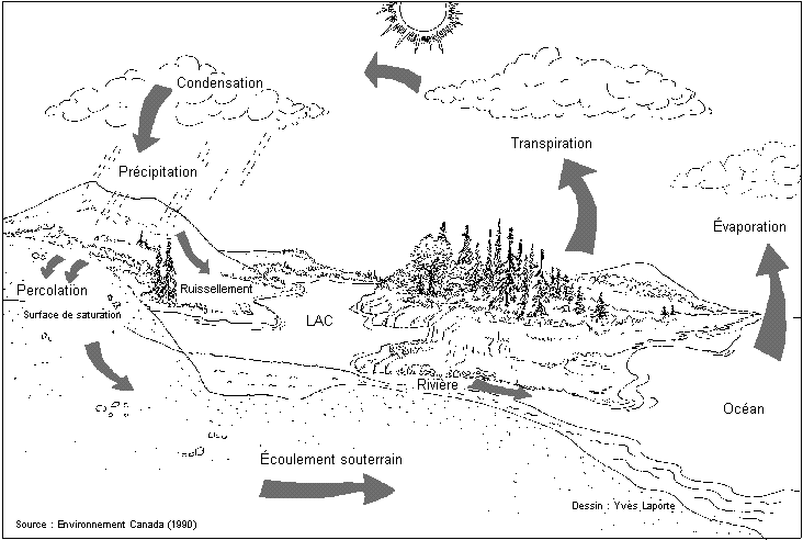 Le cycle de l'eau