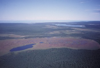 Vue arienne dun bog  Archipel de Mingan  MDDELCC  Line Couillard