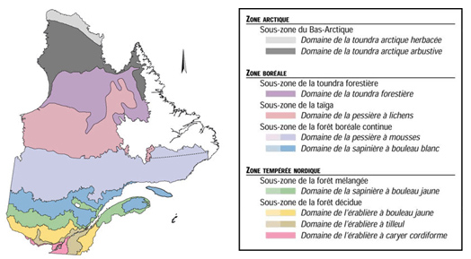 carte de la zone boréale