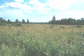 Tourbires-de-Lanoraie - Photo : La Bande  BonnEau