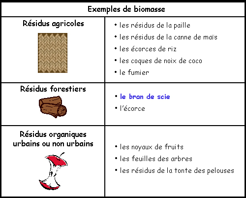 Fiche d'Aurore