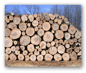 Rserve de bois de chauffage pour lhiver