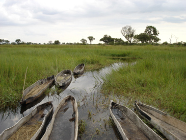 Delta dOkavango -  M. Harward