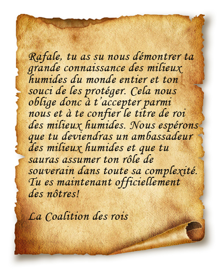 Rafale, tu as su nous dmontrer ta grande connaissance des milieux humides du monde entier et ton souci de les protger. Cela nous oblige donc  taccepter parmi nous et  te confier le titre de roi des milieux humides. Nous esprons que tu deviendras un ambassadeur des milieux humides et que tu sauras assumer ton rle de souverain dans toute sa complexit. Tu es maintenant officiellement des ntres! 
La Coalition des rois 
