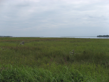 « Marais salés »