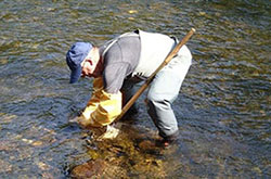 Chasse au Benthos