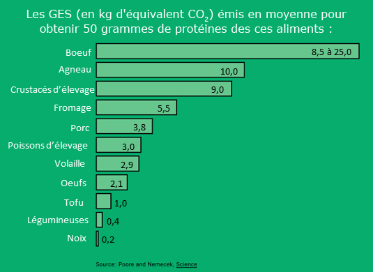 Graphique qui montre les GES émis pour obtenir 50 grammes de différents types de protéines.