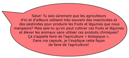 Salut! Tu sais sûrement que les agriculteurs d'ici et d'ailleurs utilisent très souvent des insecticides et des pesticides pour produire les fruits et légumes que nous mangeons? Mais sais-tu qu’on peut cultiver ces fruits et légumes et élever les animaux sans utiliser ces produits chimiques? Ça s'appelle faire de l'agriculture « biologique ». Dans ma capsule, je t’explique cette façon de faire de l'agriculture!