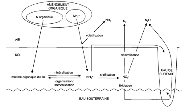 Figure 3. Dynamique de l’azote et pertes à l’environnement (adapté de Nicolardot et al. 2003).