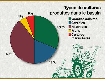 Graphique: Types de cultures